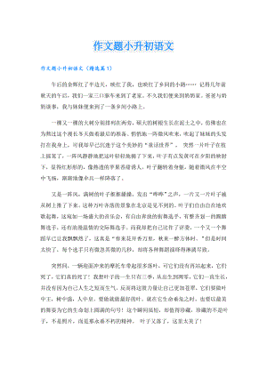 作文题小升初语文.doc