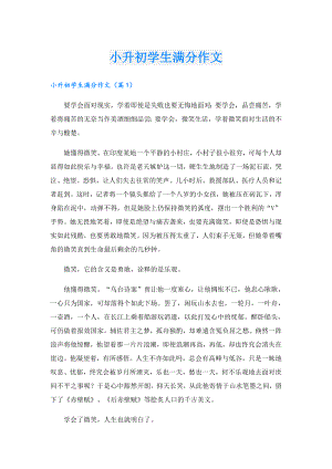 小升初学生满分作文.doc