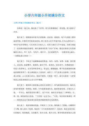 小学六年级小升初满分作文.doc