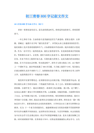初三青800字记叙文作文.doc