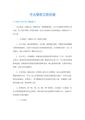 个人明年工作计划.doc
