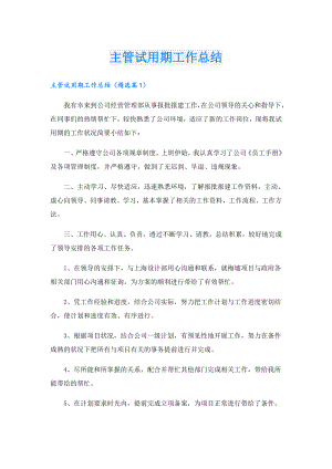 主管试用期工作总结.doc