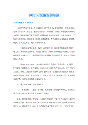 2023环境整治的总结.doc