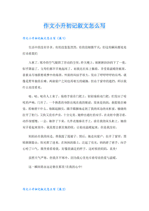 作文小升初记叙文怎么写.doc