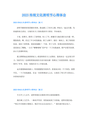 2023传统文化清明节心得体会.doc