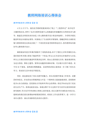 教师网络培训心得体会.doc