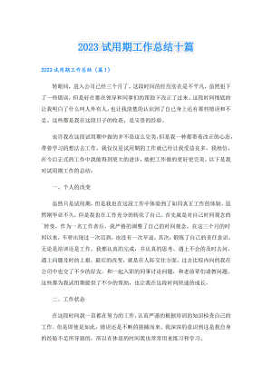 2023试用期工作总结十篇.doc