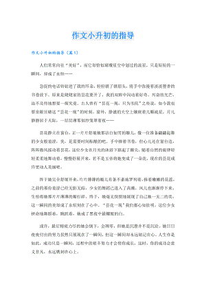 作文小升初的指导.doc