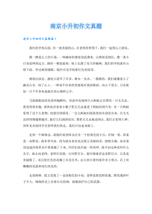 南京小升初作文真题.doc