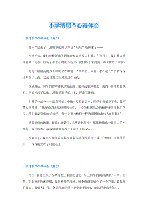小学清明节心得体会.doc