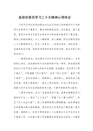 县政协委员学习二十大精神心得体会通用版(三篇).docx