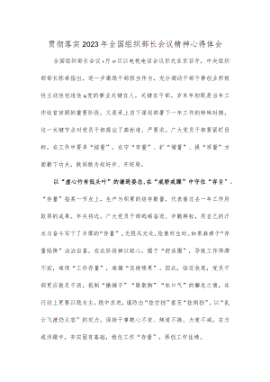 贯彻落实2023年全国组织部长会议精神心得体会.docx