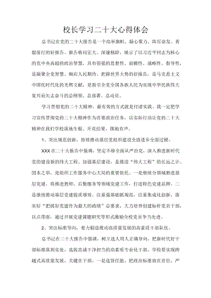 校长学习二十大心得体会.docx