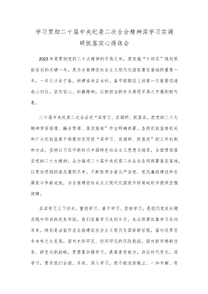学习贯彻二十届中央纪委二次全会精神深学习实调研抓落实心得体会.docx
