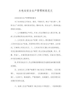 水电站安全生产管理制度范文.docx