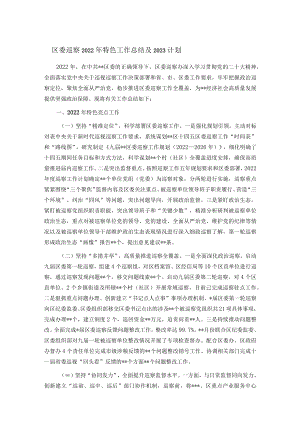 区委巡察2022年特色工作总结及2023计划.docx