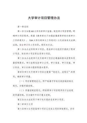 大学审计项目管理办法.docx