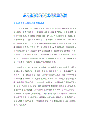 公司业务员个人工作总结报告.doc