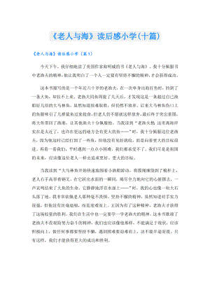 《老人与海》读后感小学(十篇).doc