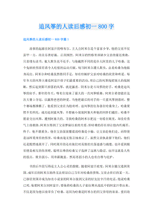 追风筝的人读后感初一800字.doc