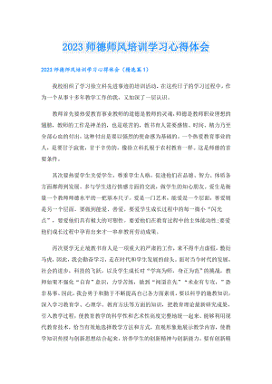 2023师德师风培训学习心得体会.doc