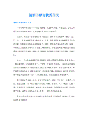 清明节踏青优秀作文.doc