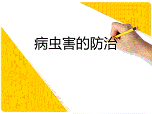 病虫害的防治.ppt