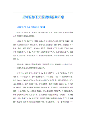 《骆驼祥子》的读后感800字.doc
