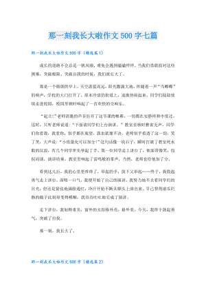 那一刻我长大啦作文500字七篇.doc