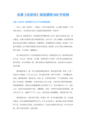名著《水浒传》阅读感悟800字范例.doc