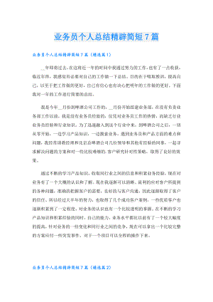 业务员个人总结精辟简短7篇.doc