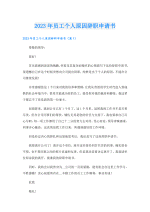 2023年员工个人原因辞职申请书.doc