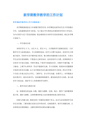 新学期数学教学的工作计划.doc