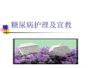 糖尿病护理及宣教.ppt