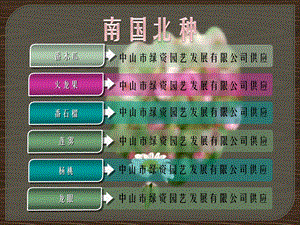 番石榴栽培及病虫害管理.ppt