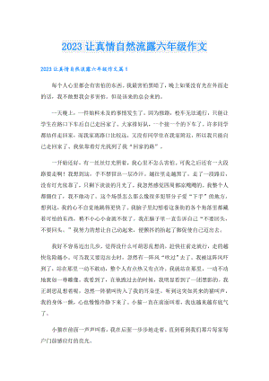 2023让真情自然流露六年级作文.doc