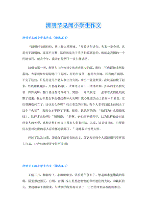 清明节见闻小学生作文.doc