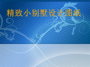 精致小别墅设计图纸3.ppt