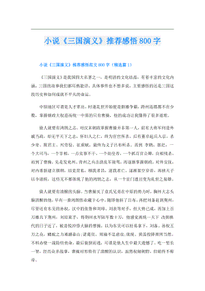小说《三国演义》推荐感悟800字.doc