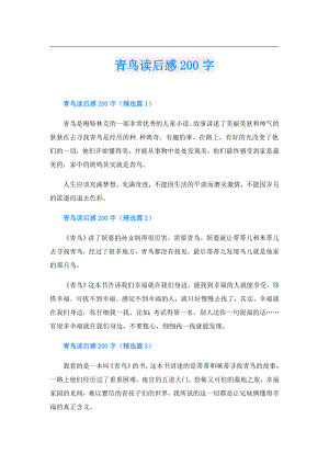 青鸟读后感200字.doc