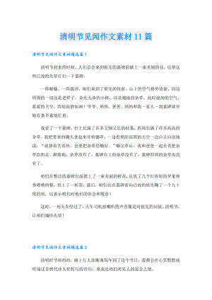 清明节见闻作文素材11篇.doc