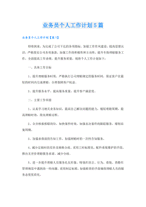 业务员个人工作计划5篇.doc