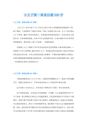 小王子第一章读后感300字.doc