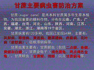甘蔗病虫害防治方案.ppt