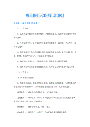 班主任个人工作计划2023.doc