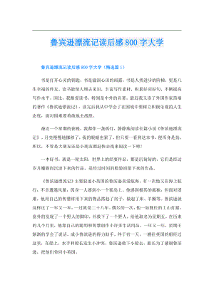 鲁宾逊漂流记读后感800字大学.doc