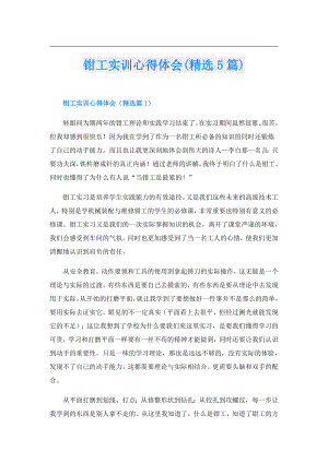 钳工实训心得体会(精选5篇).doc