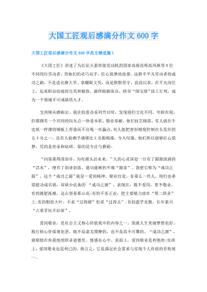 大国工匠观后感满分作文600字.doc