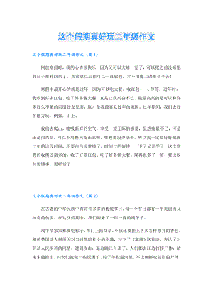 这个假期真好玩二年级作文.doc