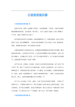 小说亮剑观后感.doc